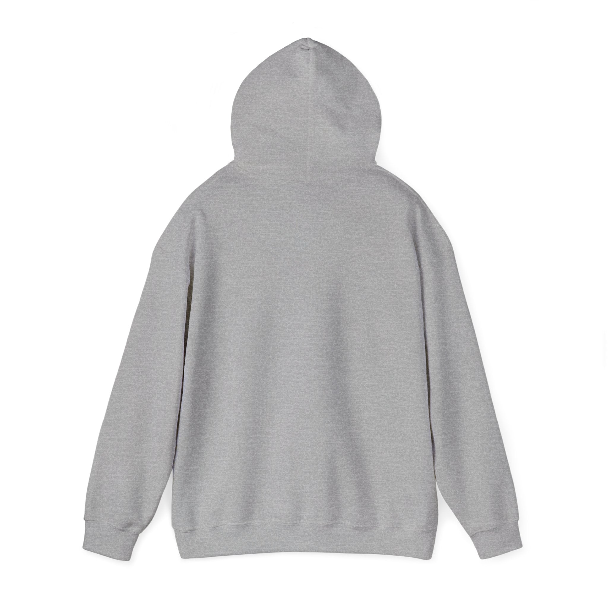 Vintage Americana 'Road Trip' Hoodie | red white blue, retro souvenir